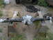 9 inch 006.jpg